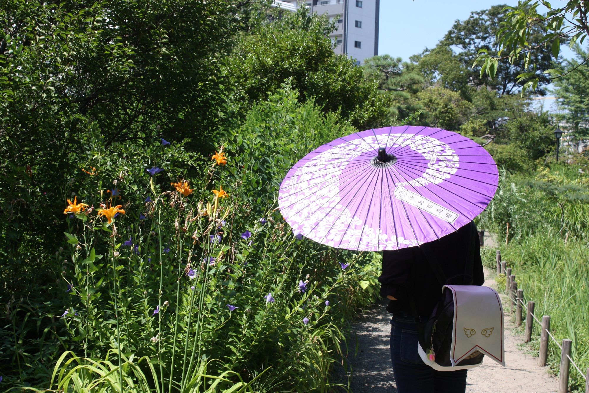 向島百花園に行ってきました